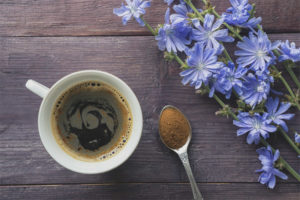 Chicory para sa diyabetis
