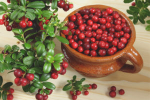 Maaari bang kumain ng mga lingonberry ang mga buntis