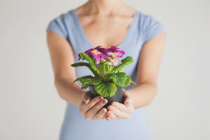 Maaari ba akong magbigay ng mga bulaklak sa mga kaldero