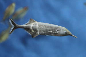 Elephant na isda