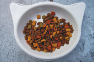 Posible bang ibabad ang dry cat food