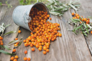 Paano magluto ng sea buckthorn para sa taglamig