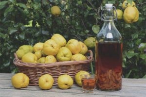 Paano gumawa ng quince wine