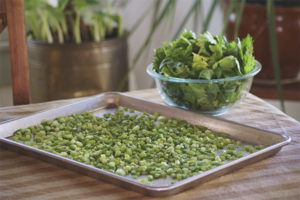 Paano Ma-dry Celery