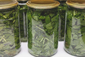 Paano maghanda ng sorrel ng taglamig sa mga bangko