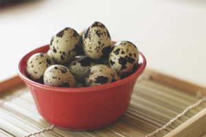 Paggamot ng Pugo