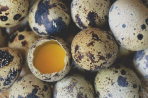 Posible bang kumain ng mga itlog ng pugo na raw