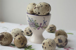Mga itlog ng pugo para sa gastritis