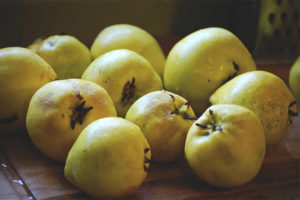 Quince para sa diyabetis