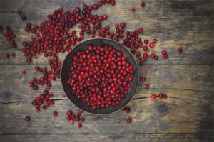 Lingonberry para sa mga sipon