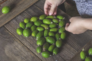 Paano pumili ng isang feijoa