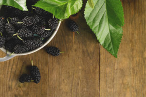 Mulberry sa diyabetis