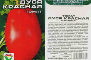 Tomato Dusya pula