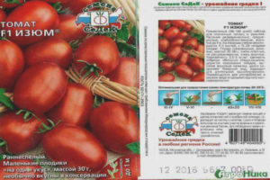 Mga Tomato Raisins