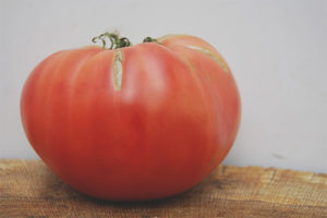 Malaki ang Tomato King