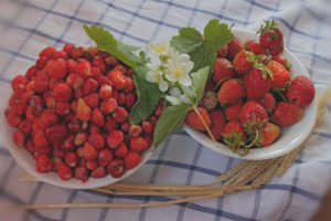 Ano ang pagkakaiba sa pagitan ng mga strawberry at strawberry