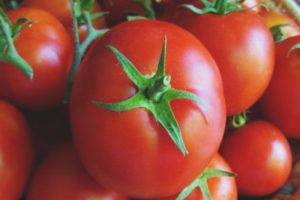 Tomato 100 porsyento