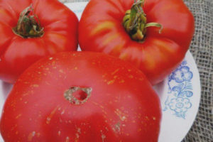Mga Tomato Fireworks
