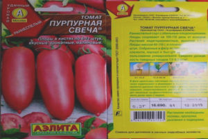 Tomato Purple Kandila