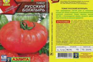 Tomato Russian bayani