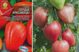 Tomato Kagandahang Puso