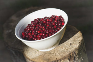 Ano ang kapaki-pakinabang na lingonberry