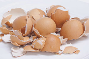 Itlog shell bilang isang mapagkukunan ng calcium