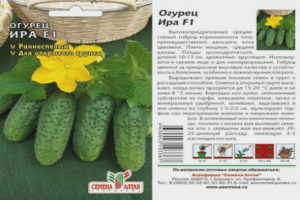 Pipino Ira F1