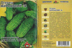 Murom pipino 36