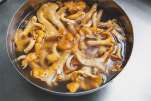 Paano magluto ng chanterelles bago magprito