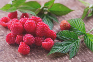 Mga raspberry para sa mga bata